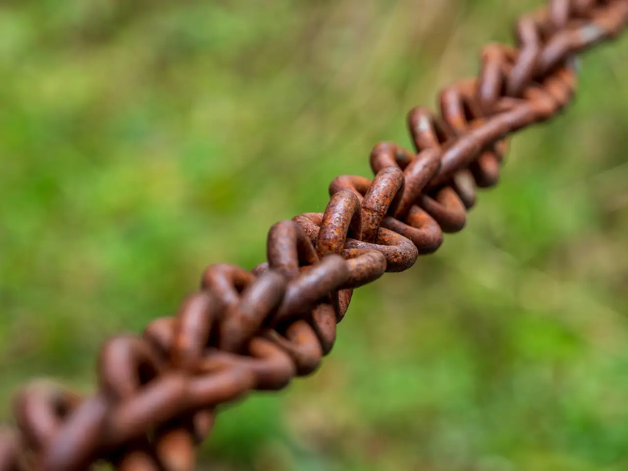 YO Labs Raises $10M to Scale Cross-Chain Crypto Yield Optimization Protocol - CoinDesk